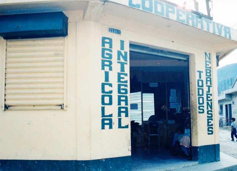 Historia Cotoneb 2