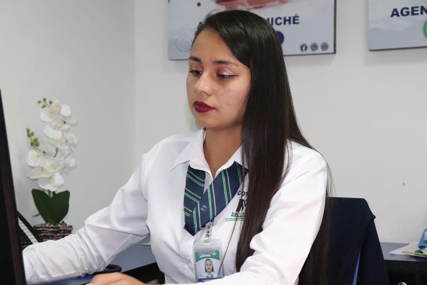 Asesoría COTONEB
